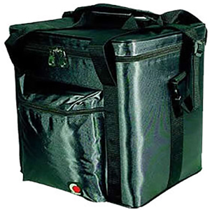 Metallic Green 100 LP / Utility Bag
