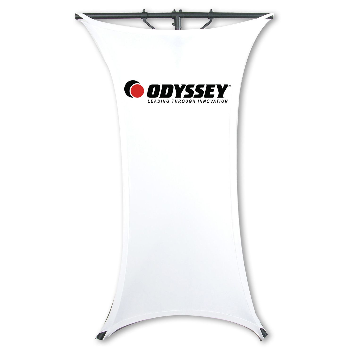 6' x 2.5' Rectangular Screen